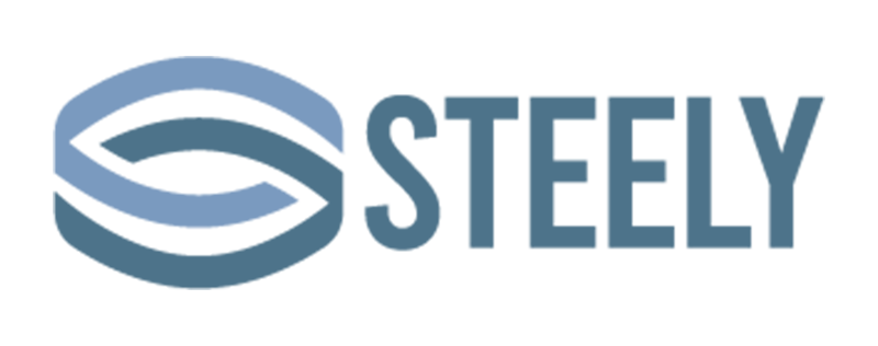 Steely LLC Logo 800x316